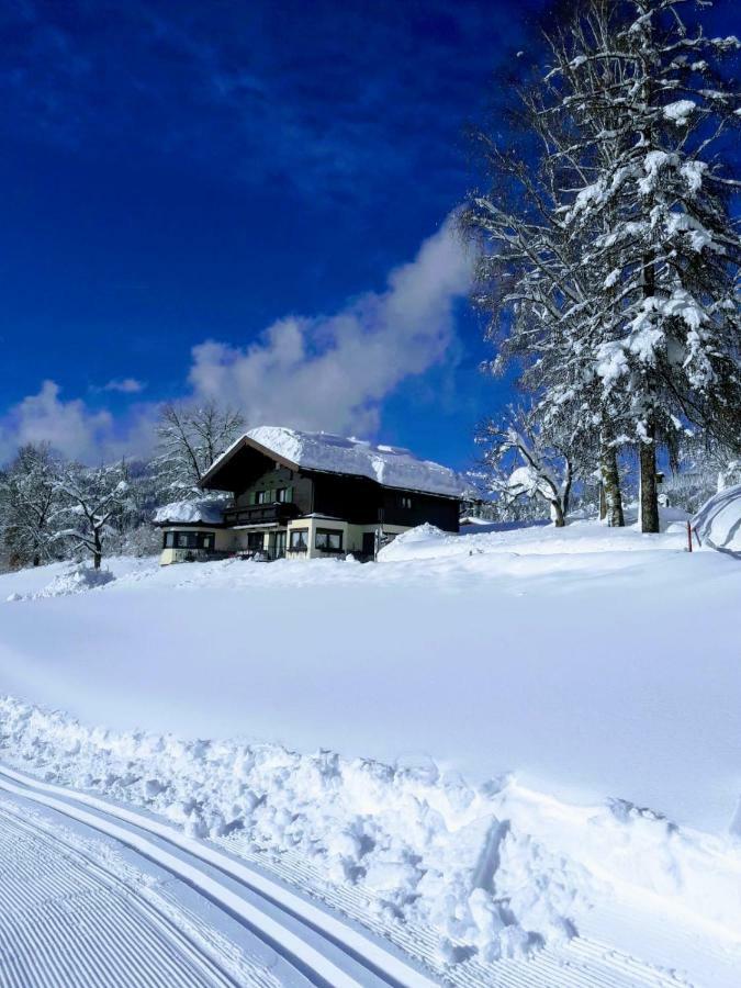 Ferienwohnung Gästehaus Pöll Maria Scheffau am Wilden Kaiser Exterior foto